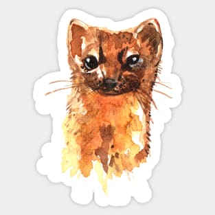 American Pine Marten Sticker